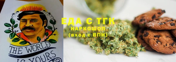 spice Алзамай