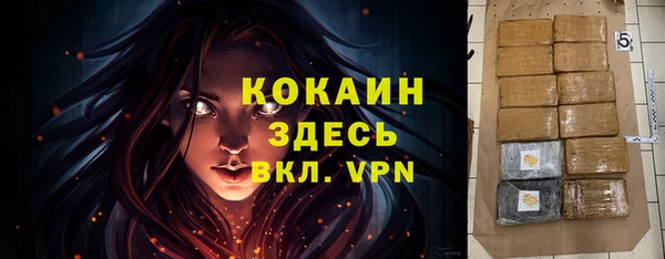 spice Алзамай