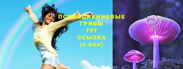 соль ск Алексеевка