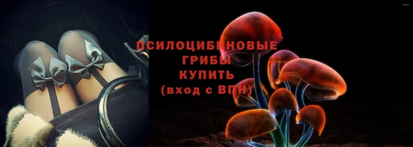 соль ск Алексеевка