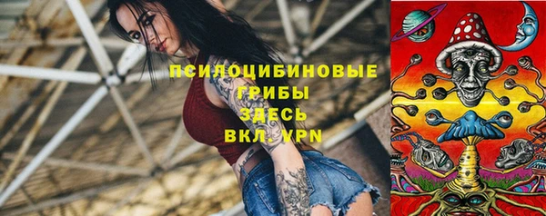 соль ск Алексеевка